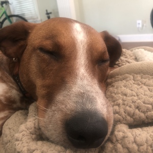 Fundraising Page: Karen Roth